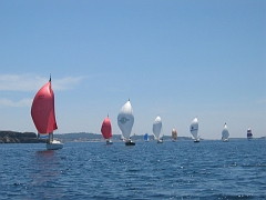 la solitaire 155